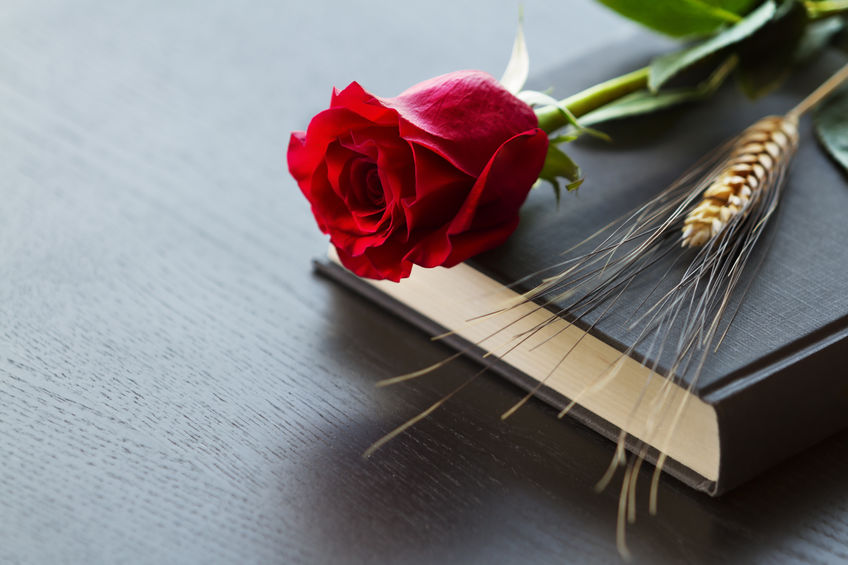 Sant Jordi está cerca, ¡dona tu libro!